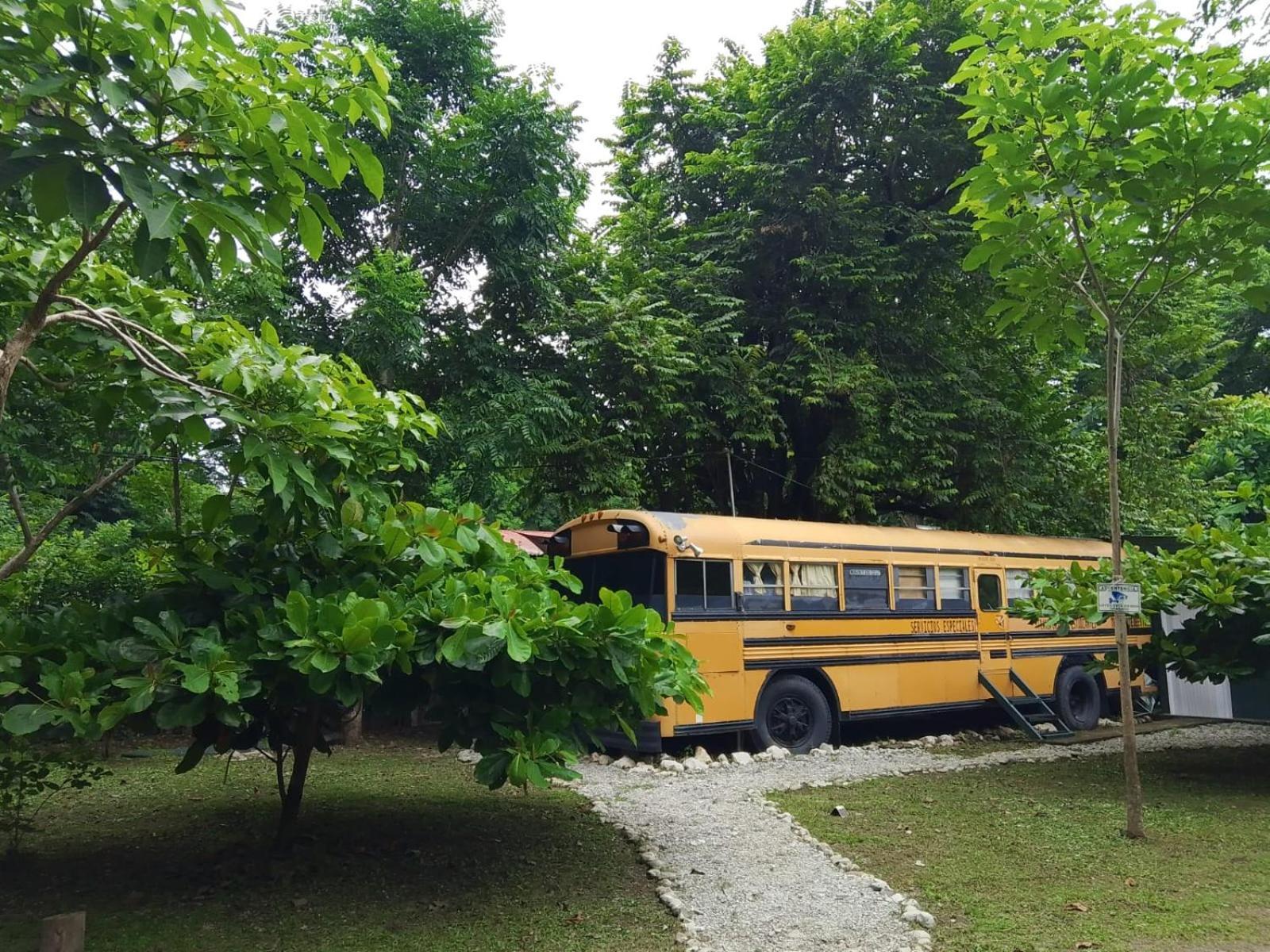 Апартаменты Nanku Nimbu Casa-Bus Equipada Cerca De Playas Самара Экстерьер фото